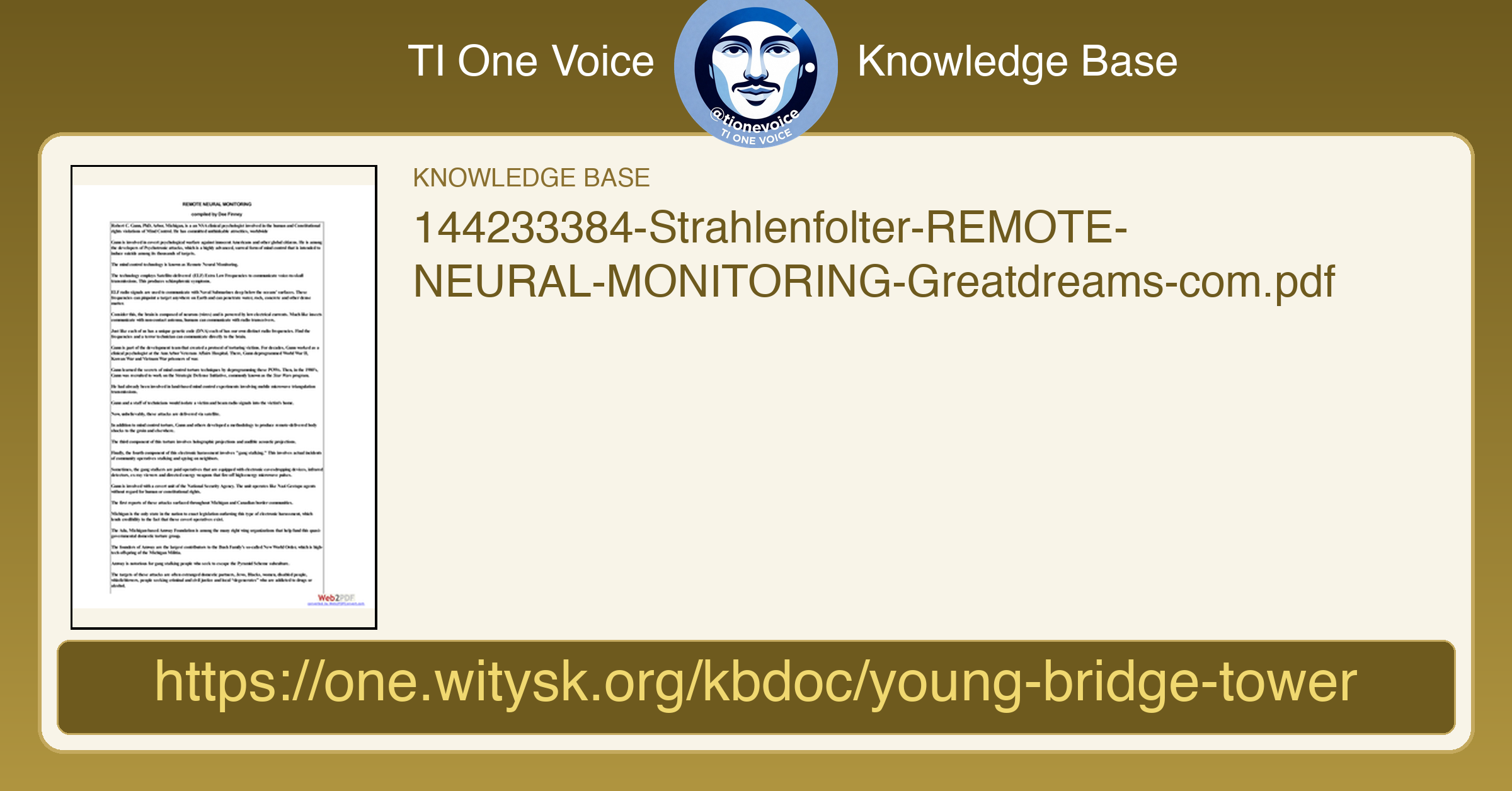 144233384-Strahlenfolter-REMOTE-NEURAL-MONITORING-Greatdreams-com.pdf